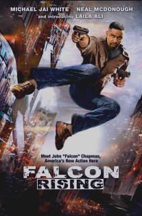 Восхождение Сокола/Falcon Rising (2014)