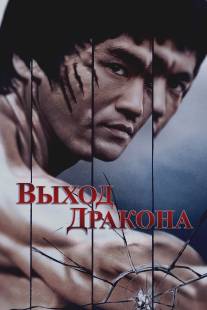 Выход Дракона/Enter the Dragon (1973)