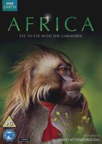 Африка/Africa (2013)