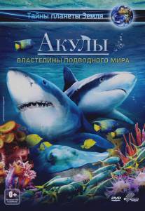 Акулы 3D: Властелины подводного мира/Sharks 3D: Kings of the Ocean (2013)