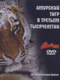 Амурский тигр в третьем тысячелетии/Amurskiy tigr v tretem tisyacheletii