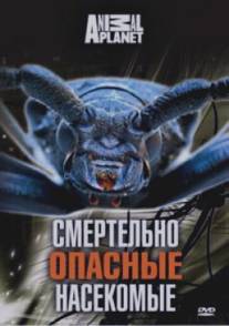 Animal Planet: Смертельно опасные насекомые/Deadly Bugs (1998)