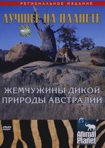 Animal Planet: Жемчужины дикой природы Австралии/Australian Wildlife Encounters