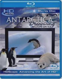 Антарктика - Дикая жизнь на льду/Antarctica Dreaming - WildLife On Ice