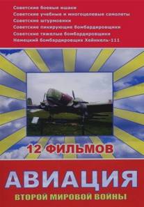 Авиация Второй мировой войны/Aviatsiya vtoroy Mirovoy Voini (2009)