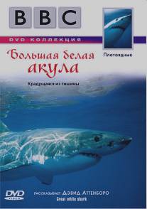 BBC: Большая белая акула/Great White Shark