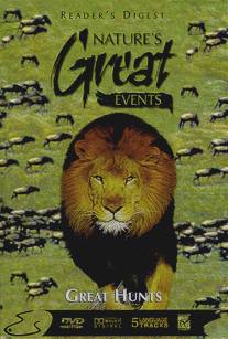 BBC: Чудеса живой природы: Великая охота/Nature's Great Events: Great Hunts