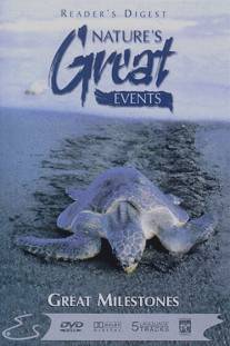 BBC: Чудеса живой природы: Великие вехи/Nature's Great Events: Great Milestones