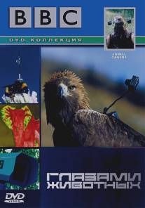 BBC: Глазами животных/Animal Camera (2004)