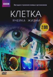 BBC: Клетка/Cell, The