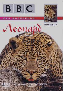 BBC: Леопард/Wildlife Special: Leopard (1999)