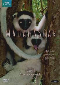 BBC: Мадагаскар/Madagascar