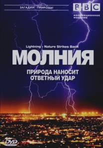 BBC: Молния. Природа наносит ответный удар/Lightning - Nature Strikes Back (2004)