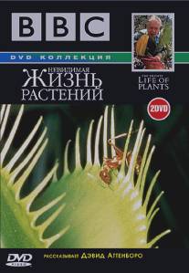 BBC: Невидимая жизнь растений/Private Life of Plants, The (1995)