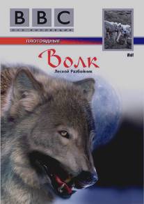 BBC: Волк/Wolf