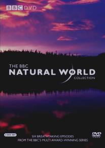 BBC: Живой мир/Natural World, The (1983)