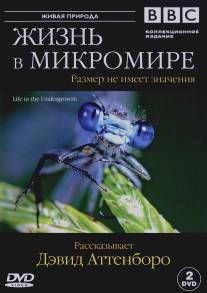 BBC: Жизнь в микромире/Life in the Undergrowth