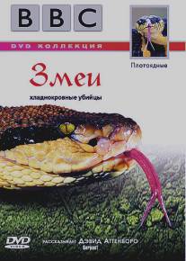 BBC: Змеи/Wildlife Special. Serpent (2003)