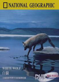 Белый волк/National Geographic: White Wolf