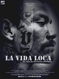 Безумная жизнь/La vida loca (2008)