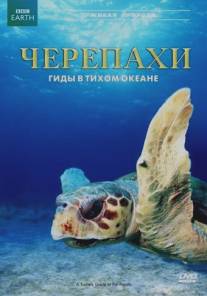 Черепахи: Гиды в Тихом океане/A Turtle's Guide to the Pacific (2008)