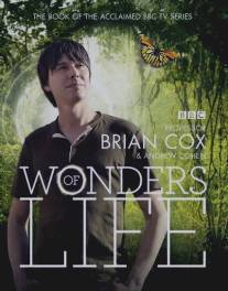 Чудеса жизни/Wonders of Life (2013)