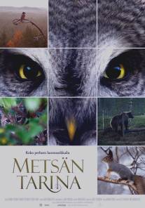 Чудесный лес/Metsan tarina (2012)