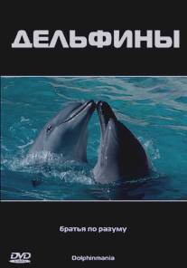 Дельфины/Dolphinmania