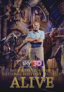 Дэвид Аттенборо с ожившим музеем естествознания/David Attenborough's Natural History Museum Alive