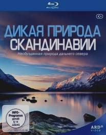 Дикая природа Скандинавии/Wildes Skandinavien (2011)