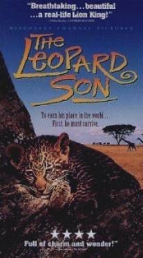 Discovery: Сын леопарда/Leopard Son, The (1996)
