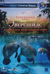 Эверглейдс 3D: Ламантины Кристальной реки/Adventure Everglades 3D: The Manatees of Crystal River