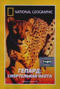 Гепард: Смертельная охота/Cheetahs: The Deadly Race