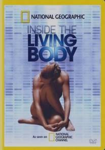 Inside the Living Body (2007)