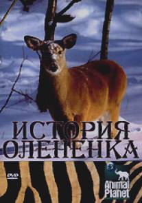 История олененка/The Littlest Reindeer (2003)