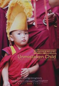 Избранный/Unmistaken Child (2008)