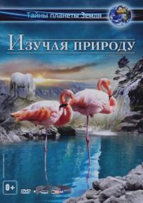 Изучая природу 3D/Experience Nature 3D (2012)