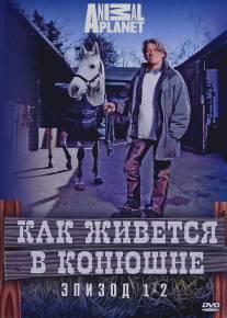 Как живется в конюшне/A Stable Life (2006)