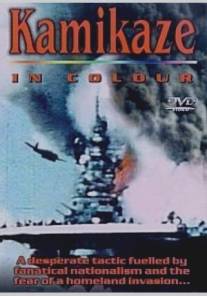 Камикадзе в цвете/Kamikaze In Colour (2002)