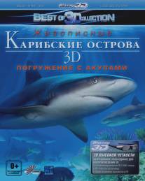 Карибские острова 3D: Погружение с акулами/Adventure Carribean 3D: Diving With Sharks (2012)