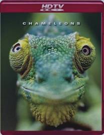Хамелеоны мира/Chameleons of the world (2011)