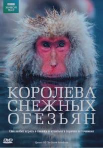 Королева снежных обезьян/Snow Monkeys - Who's Hot and Who's Not (2009)