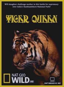 Королева тигров/Tiger Queen