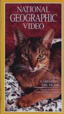 Кошки: Ласковые тигры/Cats: Caressing the Tiger (1991)