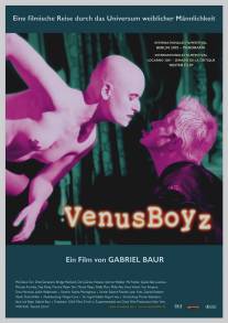 Мальчики Венеры/Venus Boyz