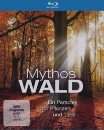 Мифы леса/Mythos Wald