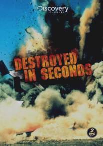 Молниеносные катастрофы/Destroyed in Seconds (2008)