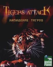 Нападение тигров/Tigers Attack (2007)