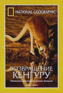National Geographic: Возвращение кенгуру/National Geographic: Kangaroo comeback (1998)