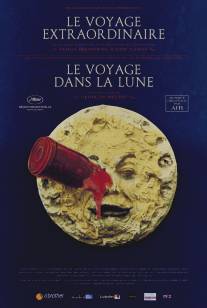 Необыкновенное путешествие/Le voyage extraordinaire (2011)